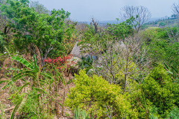 Thatched hut, part of a hostel on Ometepe island, Nicaragua