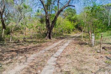 Road on Ometepe island, Nicaragua