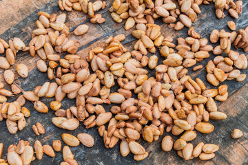Cocoa beans drying in the sun