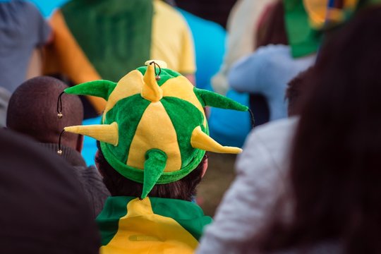 Torcedor na copa