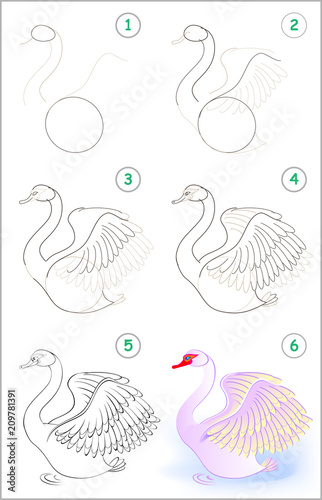 "Page shows how to learn step by step to draw a cute swan. Developing