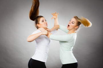 Two agressive women having argue fight