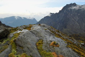 Mount Baker in the Rwenzori Mountains seen from Elena Camp