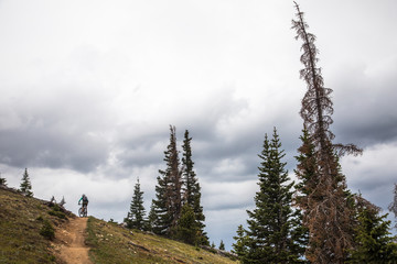 Hannah Birdsong biking the Monarch Crest section of the Colorado Trail