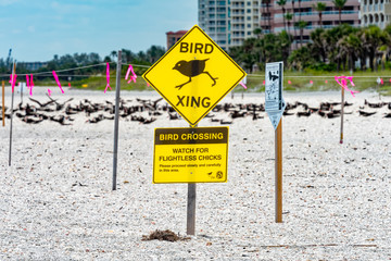 Bird crossing sign at bid nesting area
