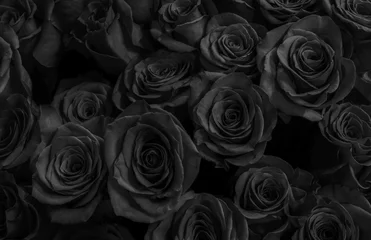 Plaid avec motif Roses roses noires foncées