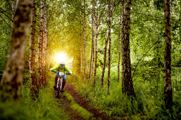 Mountainbiker rides in forest