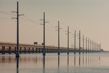 Seven Mile Bridge with traffic and power line and heron