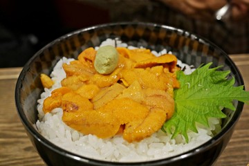 Tasty and delicious Sushi Donburi or Japanese rice bowl topped with fresh and creamy Uni(Sea Urchin) with Wasabi at a restaurant in Hokkaido. Selective Focus. Healthy Eating and Eat Well Concept.