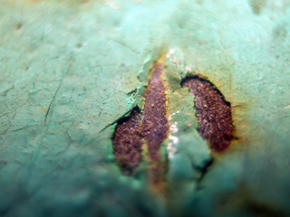 multi-colored paint on uneven surface