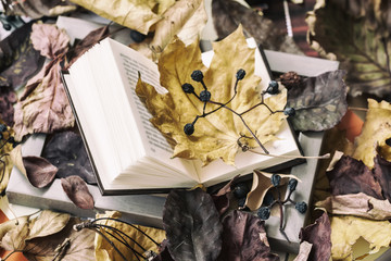 Open book in wooden frame close-up covered with autumn leaves, top view, sunny fall day, vintage...