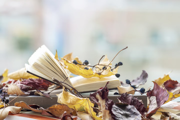 Naklejka na ściany i meble Open book on the windowsill close-up, covered with autumn leaves, copy space, sunny fall day, modern background. Top view. Concept of starting school, romantic mood