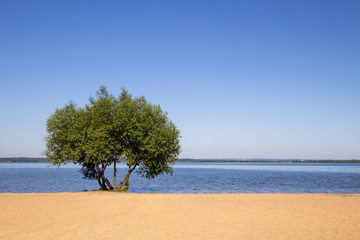 Landscape, bright day. Water travels, sand, sky