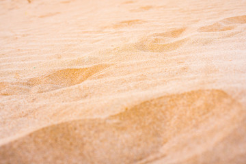 Dunes in the sand of a beach