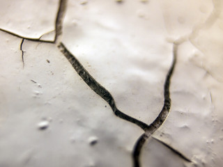 multi-colored paint on uneven surface