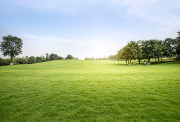 Fototapeta na wymiar Green lawn in urban public park