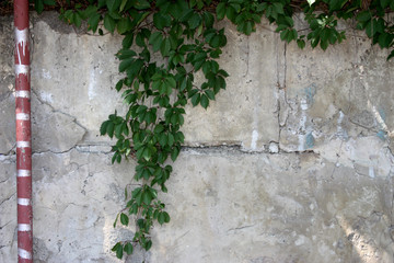 old concrete wall