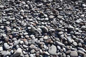 Kamienista plaża