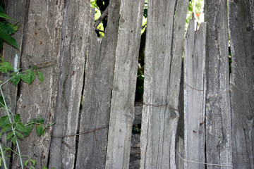 wood covered with paint