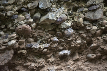 rock pattern background from maple canyon 