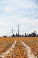 Autumn nature. Leaves and bushes with the yellow leaves in the p