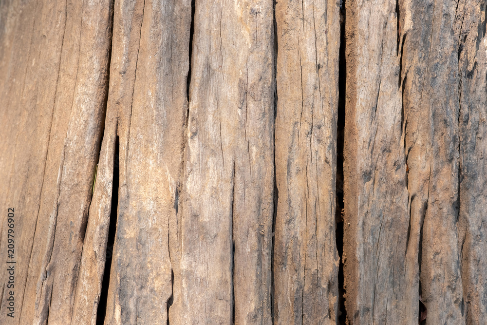 Wall mural old grunge wood crack floor texture background.