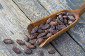 cacao bean in wooden spoon with roast bean on wooden planl,sidewiew