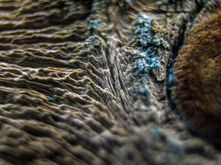 multi-colored paint on uneven surface