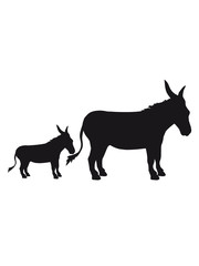 baby kind kleines junges familie mama papa esel pferd pony klein packesel lange ohren bauernhof reiten reiter silhouette schwarz umriss