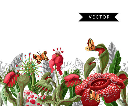 Seamless border with plant predators flowers such as Venus flycatcher, sundew and  other. Unique floral illustration.