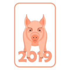 pig 2019 new year vector illustration flat 