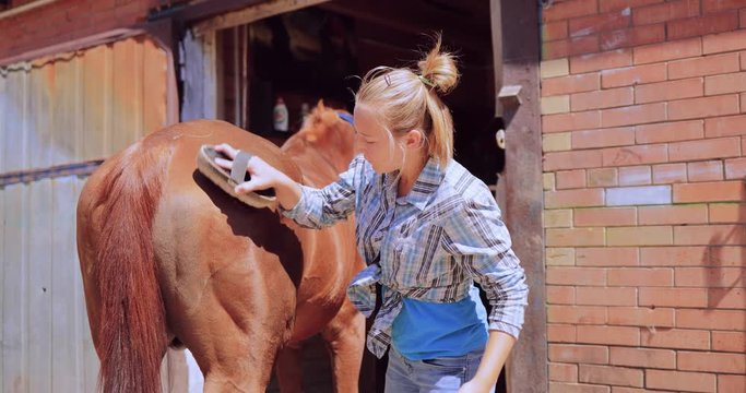 Girl combing his horse near the stables