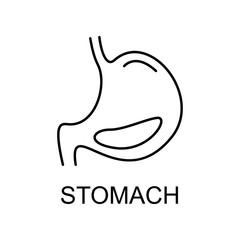 stomach line icon. Element of medicine icon with name for mobile concept and web apps. Thin line stomach icon can be used for web and mobile