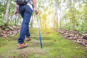 Male tourists walking in the forest,  natural trails, Holiday activities.