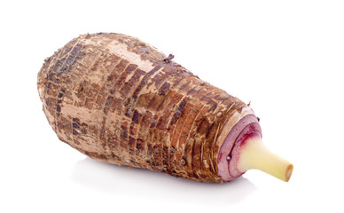 taro isolated on white background