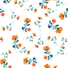 Daisy flowers seamless pattern on white background