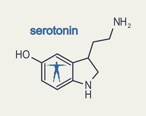 Chemical molecular formula hormone serotonin. Infographics illustration. Man silhouette