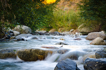 Water flowing river