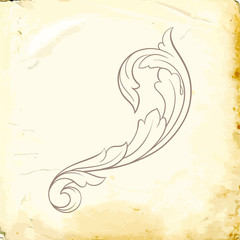 Vector baroque of vintage elements for design.
