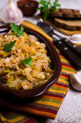 Stewed cabbage with minced meat