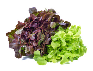 green and red lettuce isolated on white background