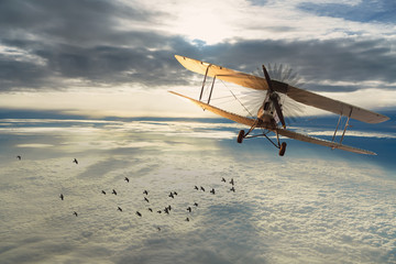 Old airplane and birds on the blue sky