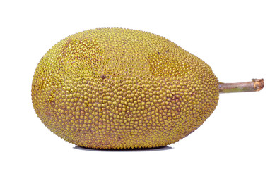 Jackfruit on a white background