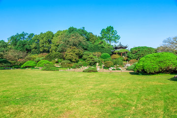 The beautiful green green woods in the park