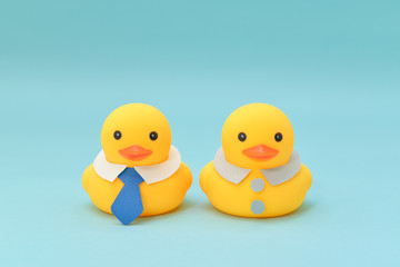 Office life concept, rubber ducks are couple.
