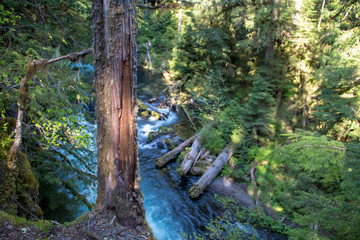 Fototapeta na wymiar Oregon Waterfall