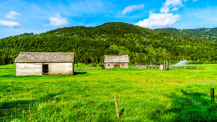 Fototapeta na wymiar Old barns and meadows being irrigated along the Heffley-Louis Creek Road between Whitecroft and Barierre in the Shuswap Highlands of British Columbia, Canada 