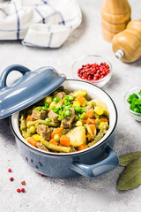 Vegetables and meat stew in a pot. Selective focus, space for text.