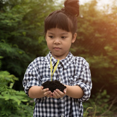 Selective focus on plant, Child holding young seedling plant in hands tree bokeh background. Concept Earth day