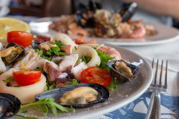 Fresh mediterranean seafood. Calamari, octopus, mussels and shrimps with tomatoes and lemon. Delicious seafood salad. Italian tasty cuisine. Plates with seafood perspective. 